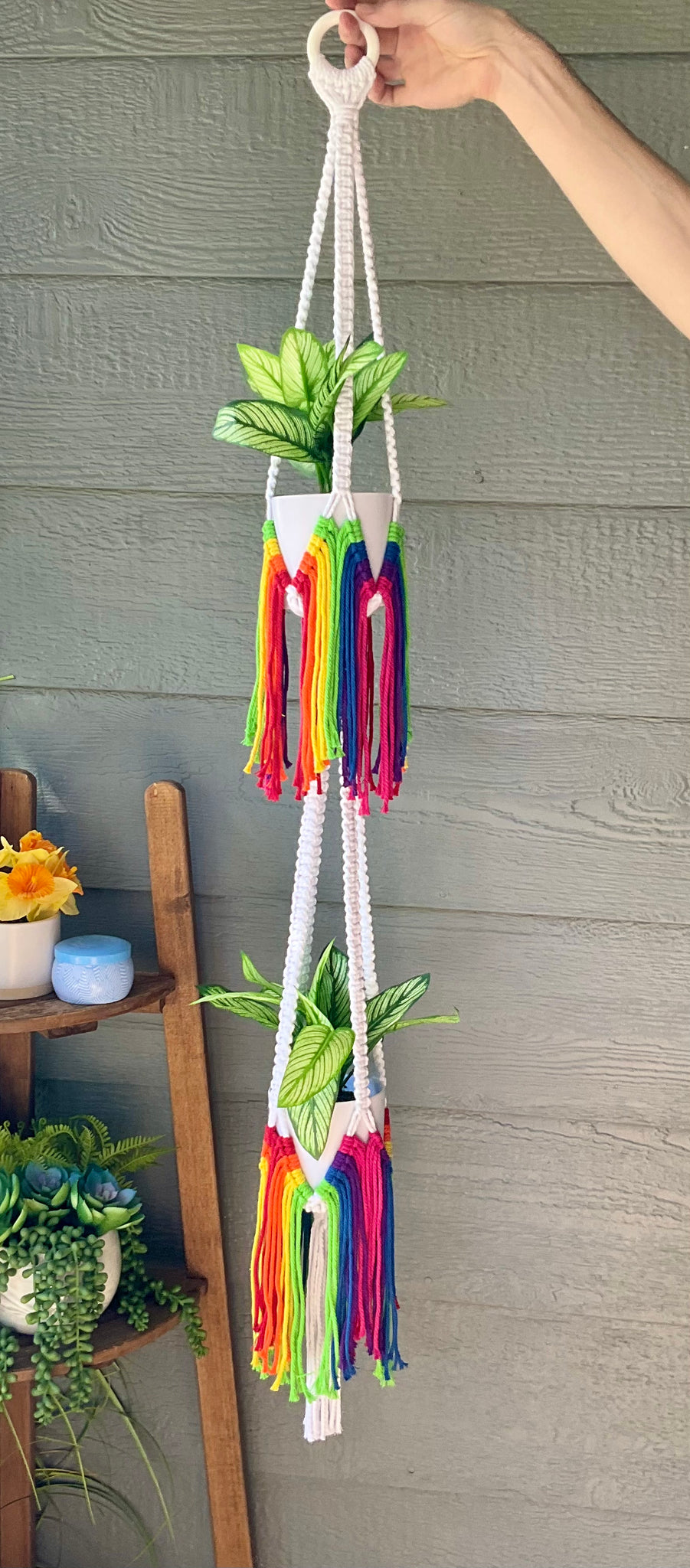 Double Rainbow Plant Hanger