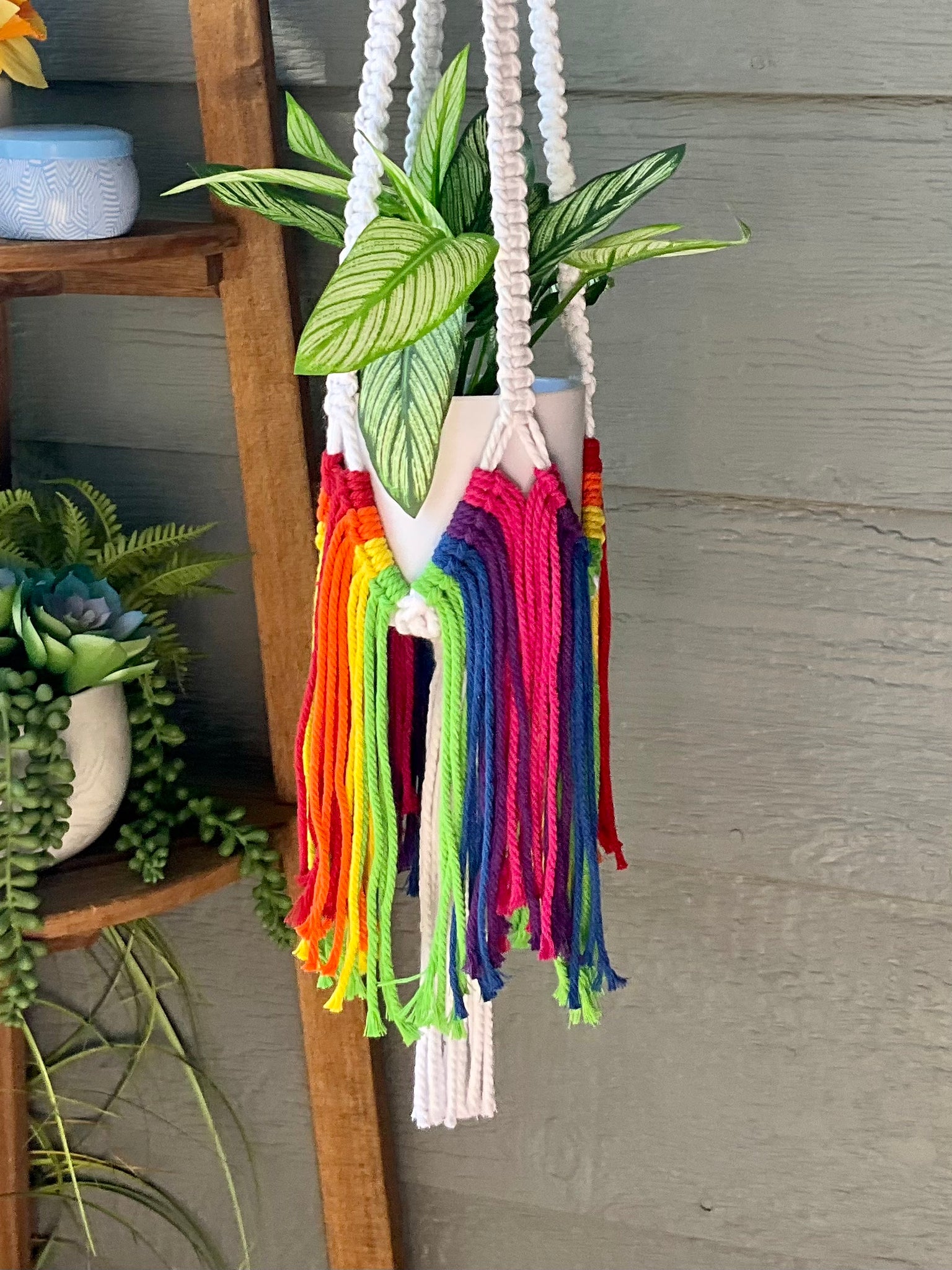 Double Rainbow Plant Hanger