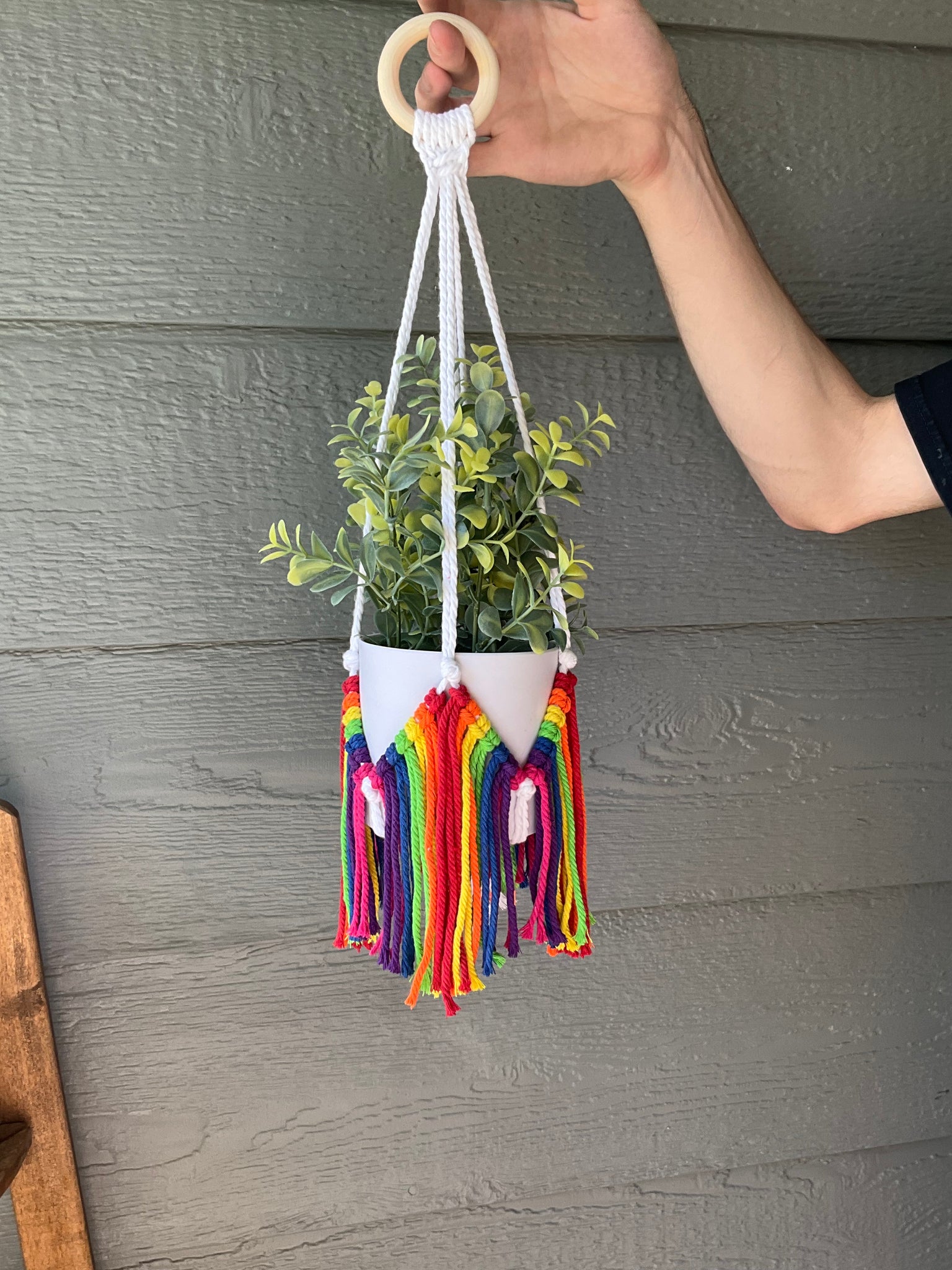 Simple Rainbow Macrame Plant Hanger